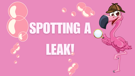 Spotting a Leak!